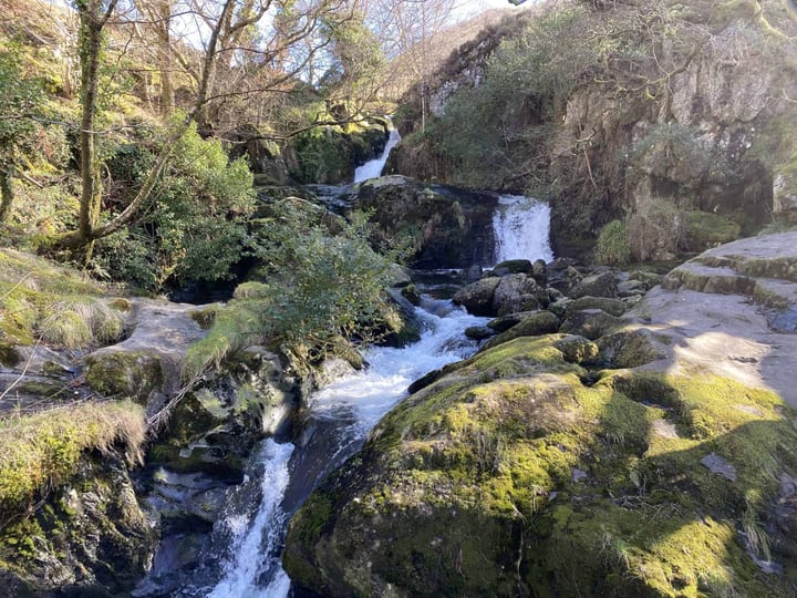Dolgoch Falls Waterfall Walk