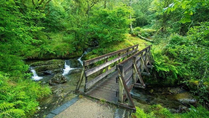 Nant Gwernol Forest and Waterfall Walk