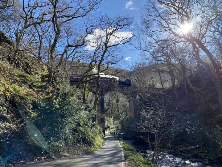 Dolgoch Falls Waterfall Walk