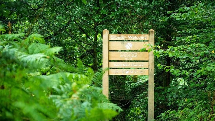 Nant Gwernol Forest and Waterfall Walk