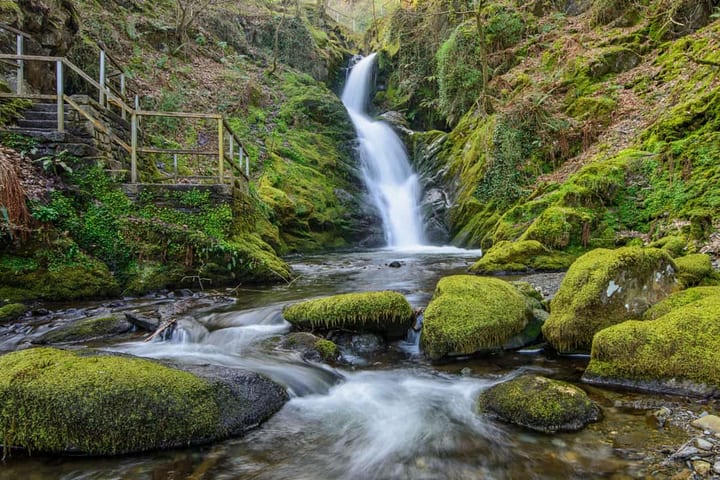 Dolgoch Falls Waterfall Walk