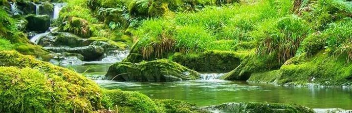 Nant Gwernol Forest and Waterfall Walk