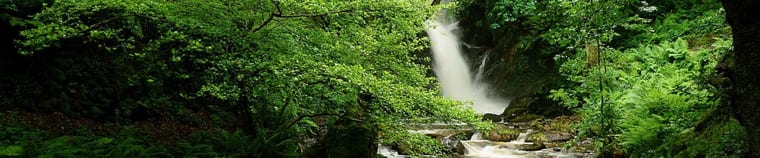 Dolgoch Falls Waterfall Walk