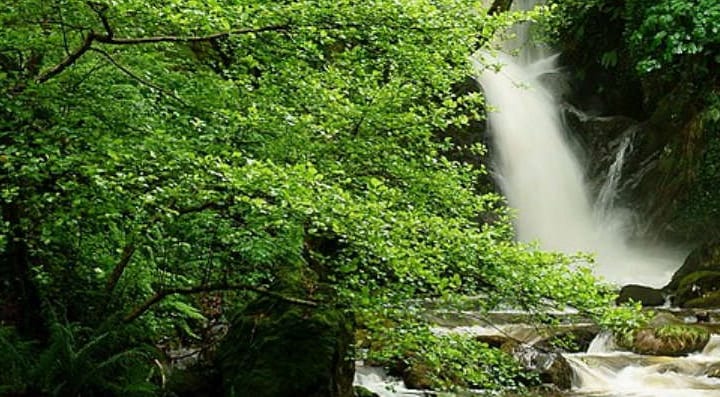 Dolgoch Falls Waterfall Walk