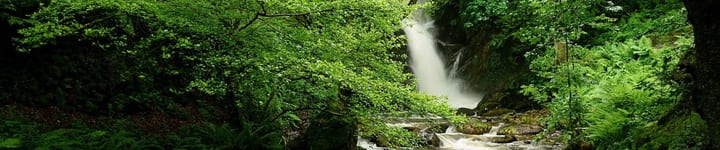 Dolgoch Falls Waterfall Walk